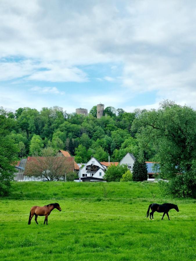 Ferienhaus Diemelaue Mit Klimaanlage Бад Карлхафен Екстериор снимка
